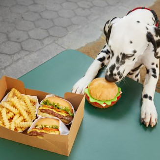 BarkBurger