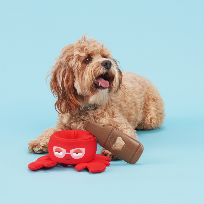 Crab Me a Drink &amp; Chew the Brew Bottle Opener Bundle