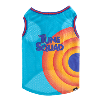 Space Jam Tune Squad Jersey