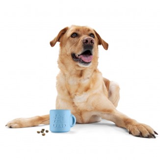 #1 Dog Dad Mug