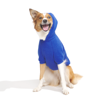 Bark to School Hoodie