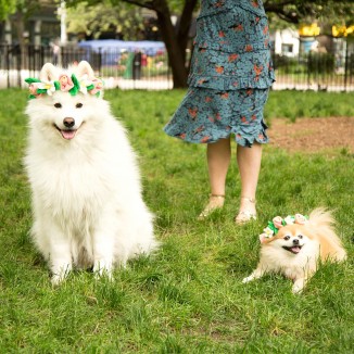 Festival Flower Crown