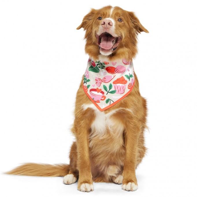 Valentine&#39;s Day Bandana