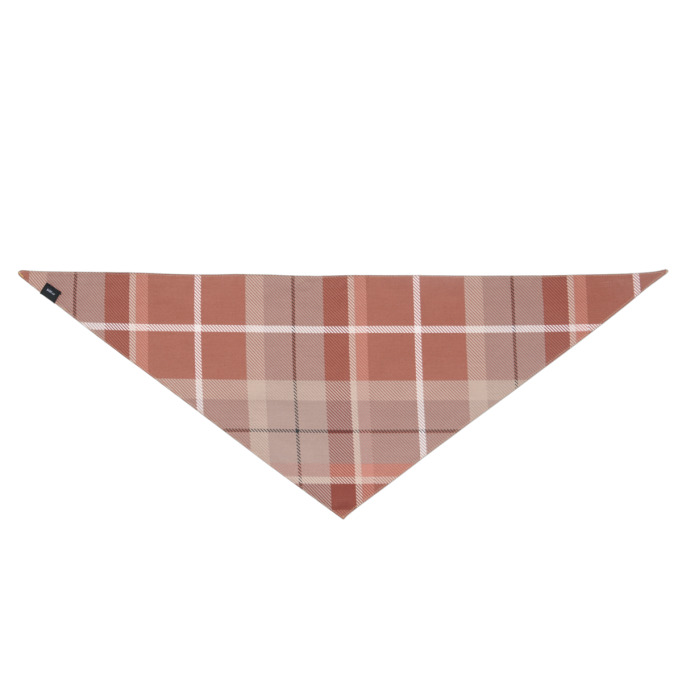 Fall Reversible Bandana Warm