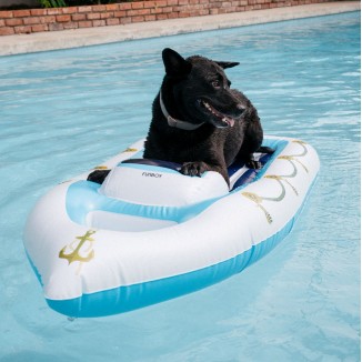 Funboy Dog Yacht with Stripes