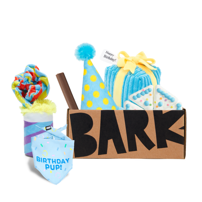 Birthday Barkbox - Large