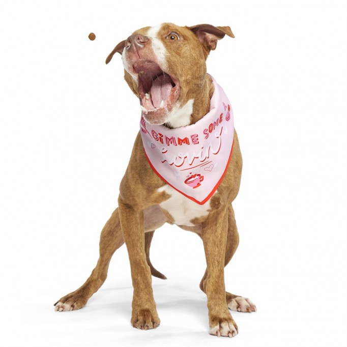 Valentine&#39;s Day Bandana