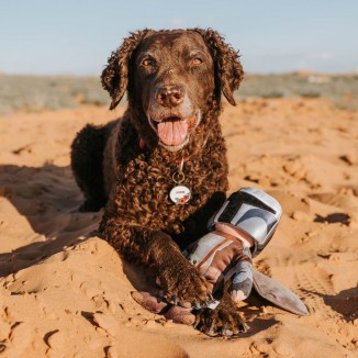 The Mandalorian™ Bounty Fetcher Toy