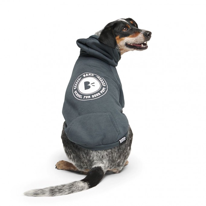 Bark to School Hoodie