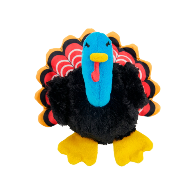 Turkey Tim