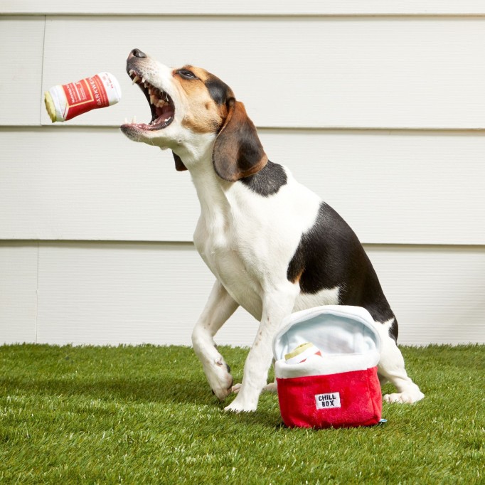 Bite Lite Beer Cooler