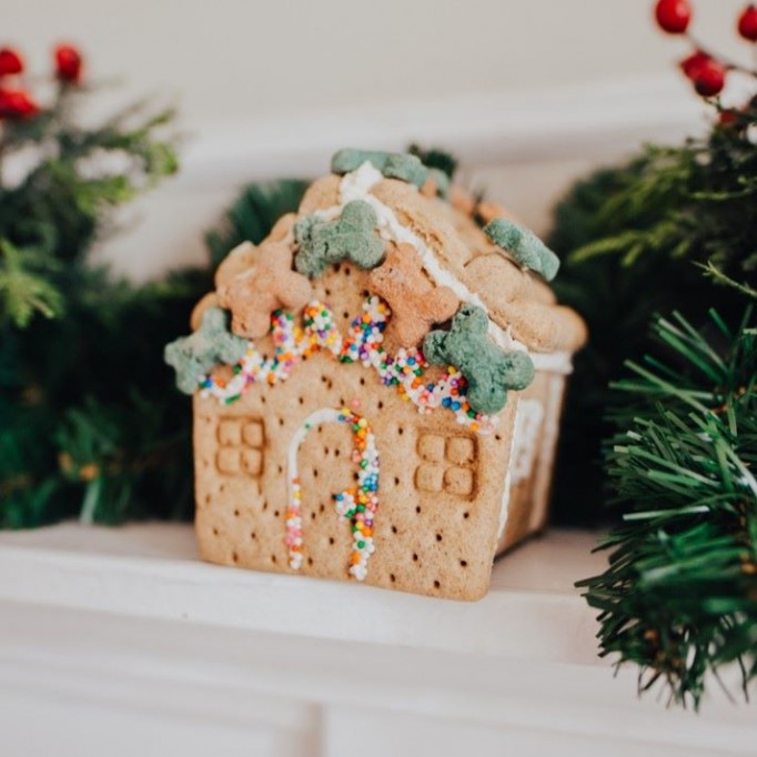 Gingerbark House Treat Kit