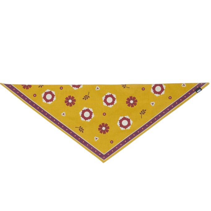 Fall Reversible Bandana Warm