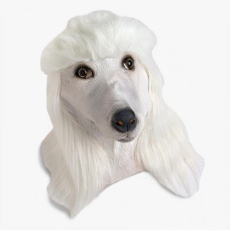 Patty the Poodle Mask