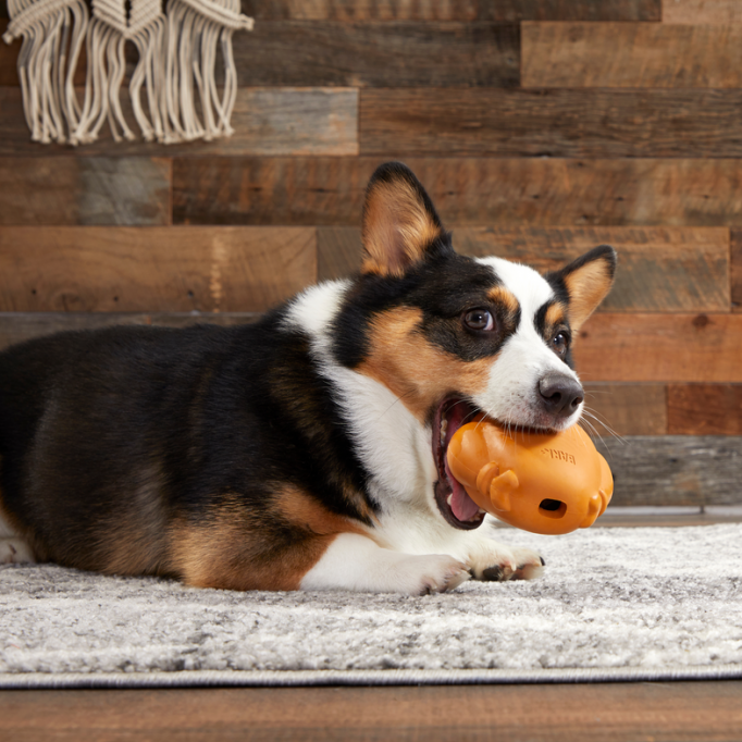 Treat Stuffed Turkey