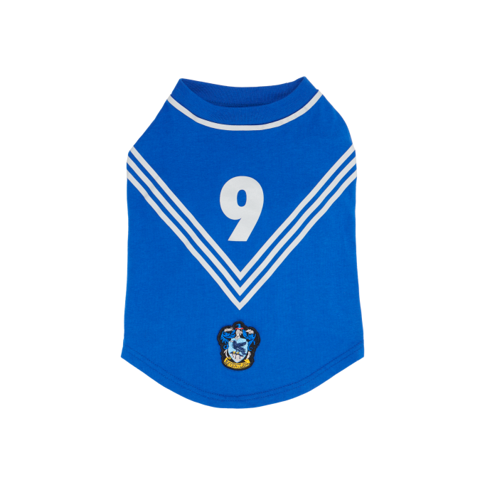 Ravenclaw™ Quidditch Jersey