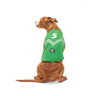 Slytherin™ Quidditch Jersey