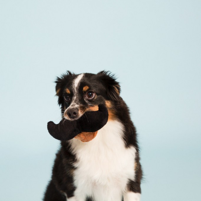 Burly Mustache Ball