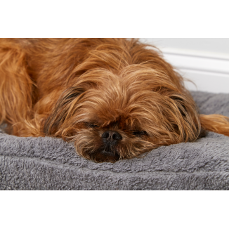 Fuzzy Mattress Bed