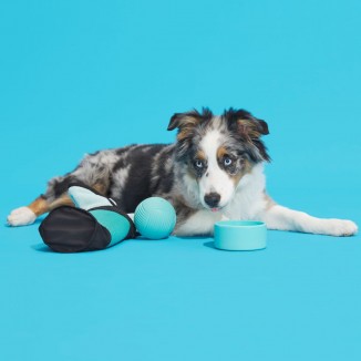 Play Day Beach Bag