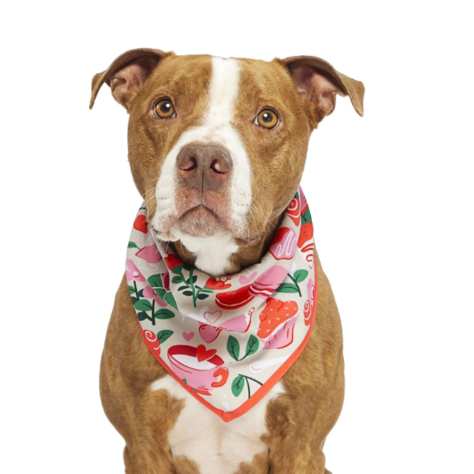 Valentine&#39;s Day Bandana