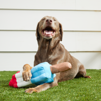 Rocket Pupsicle - XL