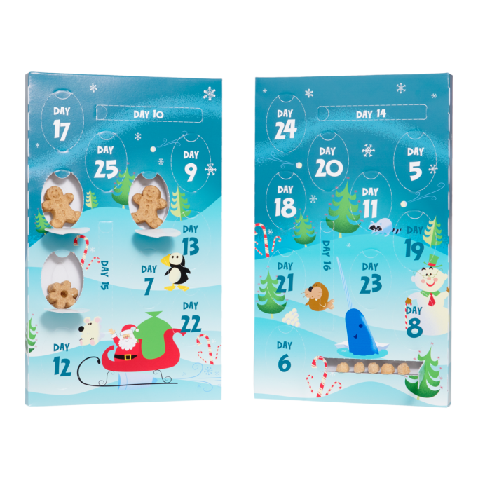 Elf Advent Treat Calendar