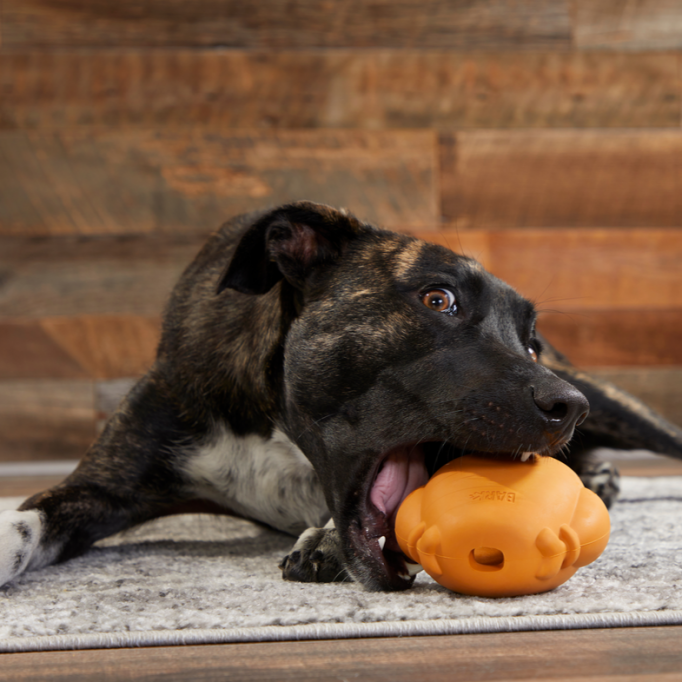 Treat Stuffed Turkey