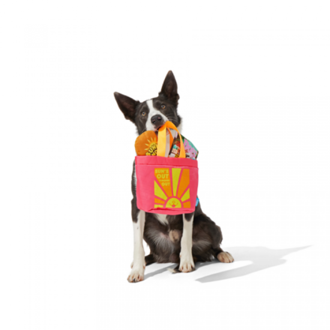 Doggle Paddle Tote Bag