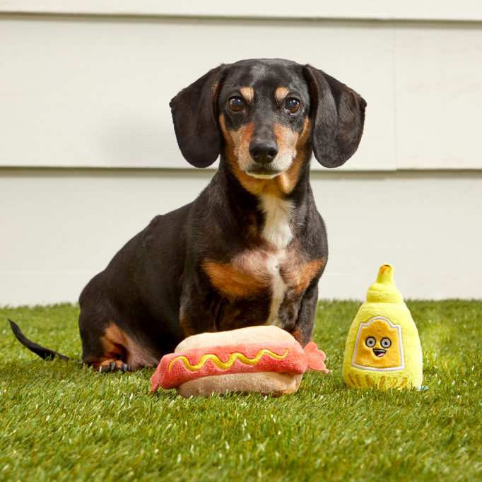 Frenchie&#39;s Mustard Hotdog