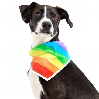 Proud Pup Bandana