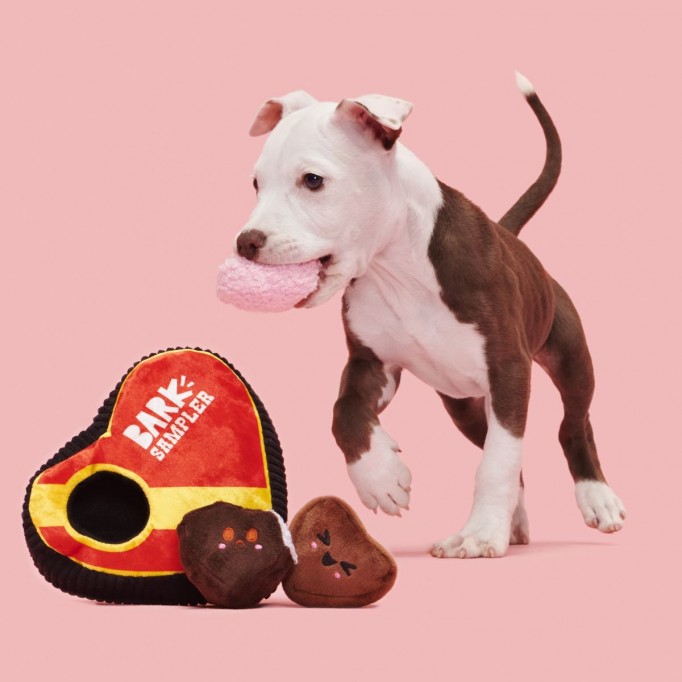 Barks of Chocolates