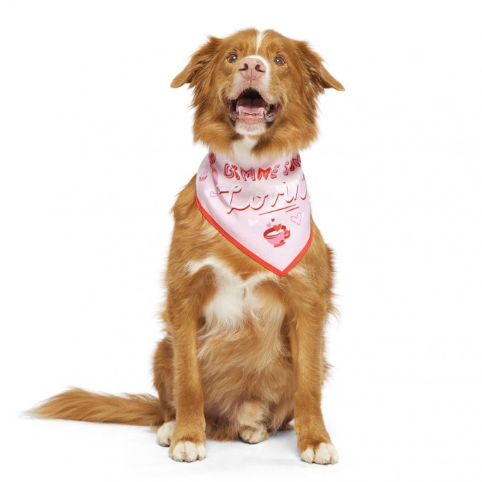 Valentine&#39;s Day Bandana