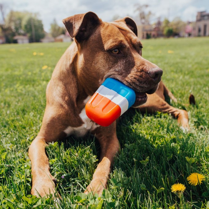 Red White + Chew Pupsicle