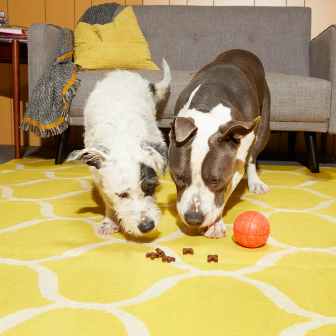 Snacks + Jacks Ball