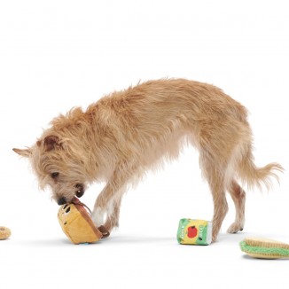 Quick Lick Picnic