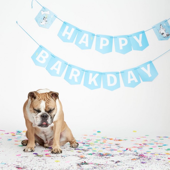 Happy Barkday! Banner