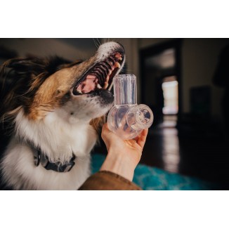 Snack-Packed Bong