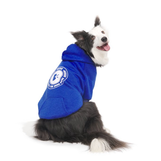 Bark to School Hoodie