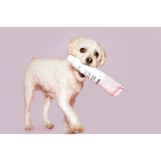 BARK x Glossier Balm Dogcom