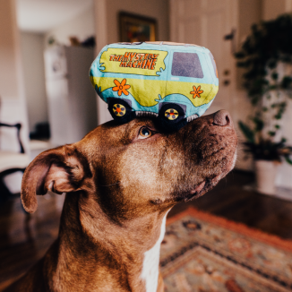 The Mystery Machine