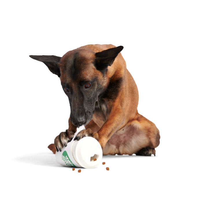 Pupkin Spice Yappuccino