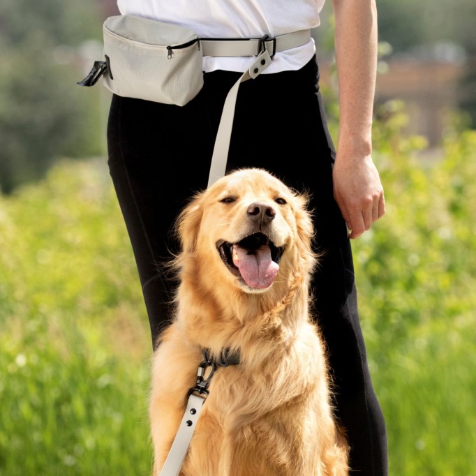 Hands Free Leash