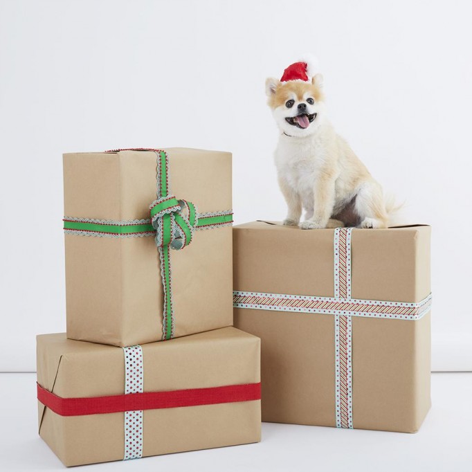 Santa Paws Hat