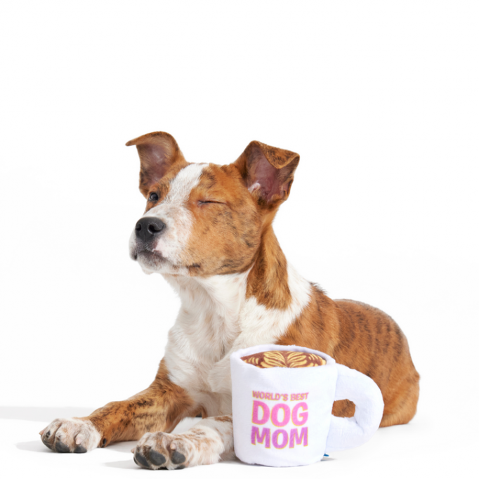 World&#39;s Best Dog Mom Mug