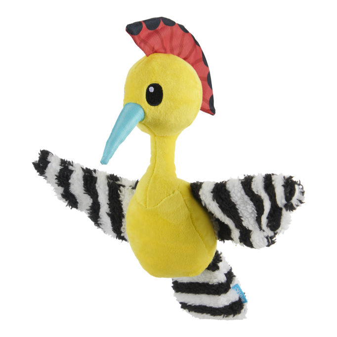 Haja Hoopoe