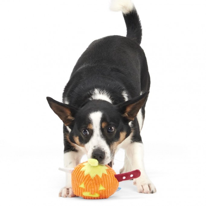 Slashing Pumpkin