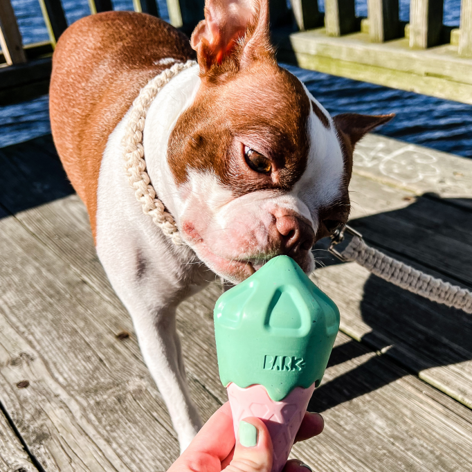 Mint Chomp Twist Cone