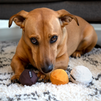 DUNKIN’™ Munchkin® Donut Hole Treats