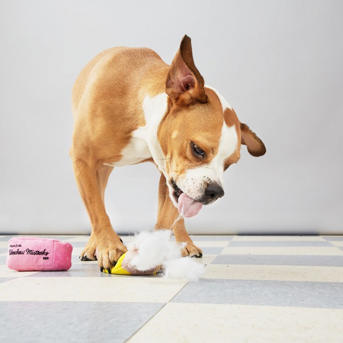 Multiple Chew Test